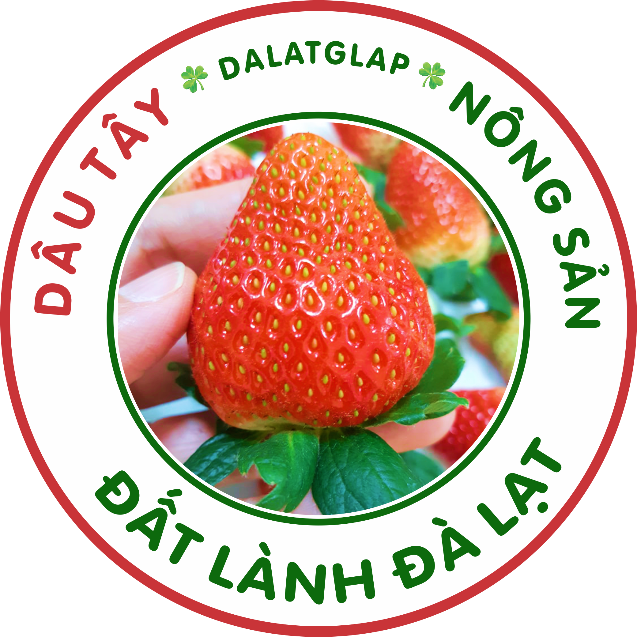 nongsandatlanhdalat.vn